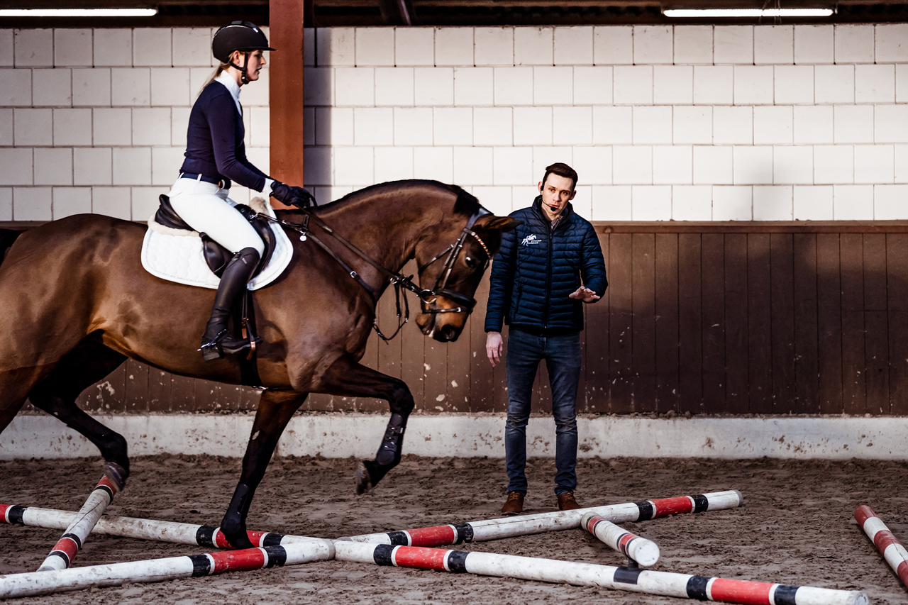 seminar-links reitcoaching-rene-baumann