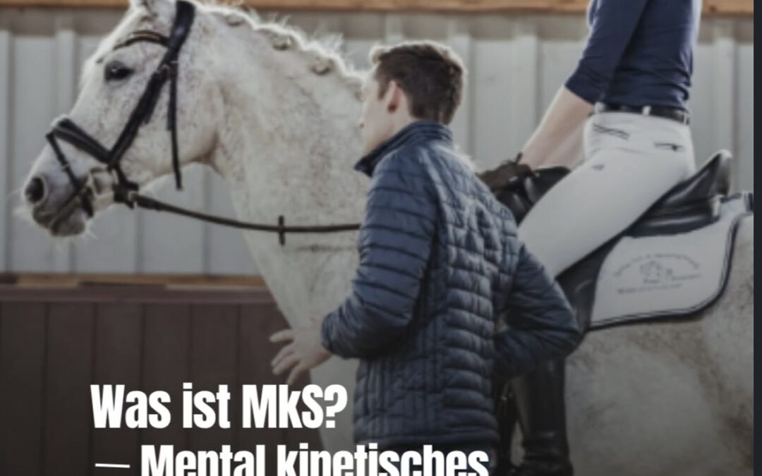 MkS – Was ist das eigentlich?